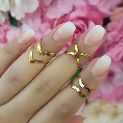 Cinnamon Ombré GEL - ididanail